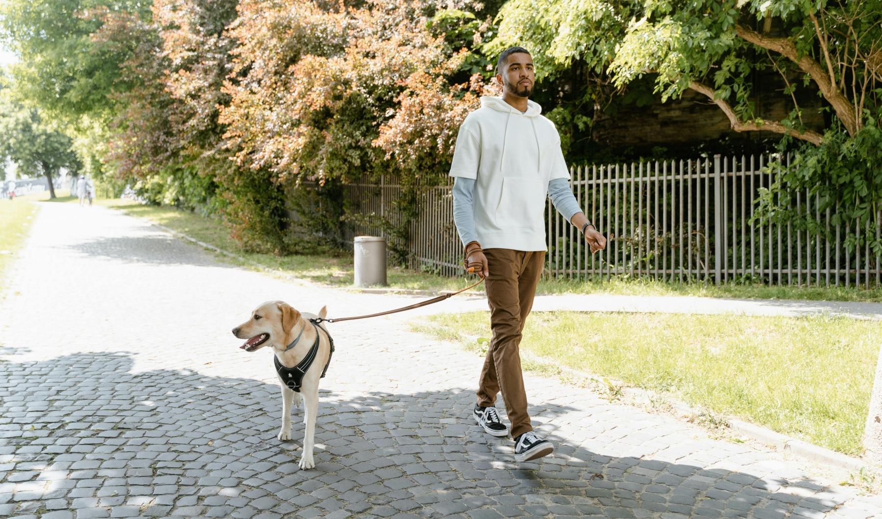 Room for Your Pets to Thrive Room for Your Pets to Thrive